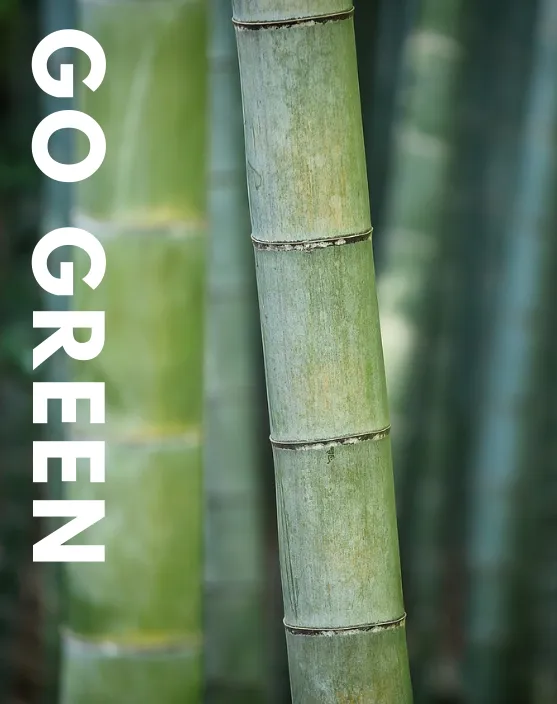 go green with bamboo material